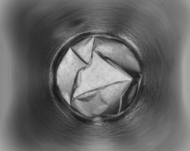 X0000096190584200802081522