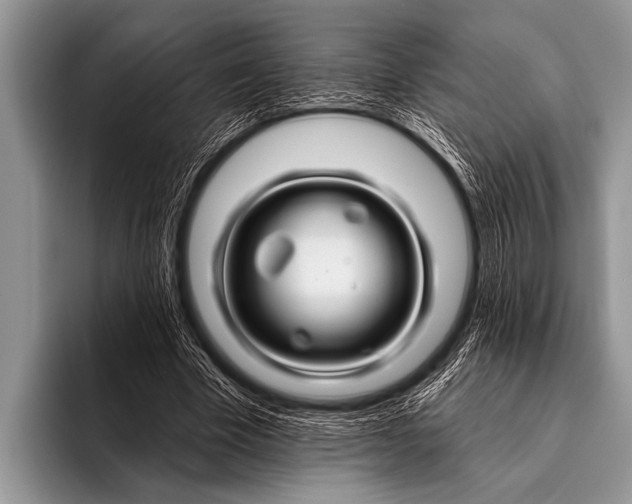 X0000096190585200802081522