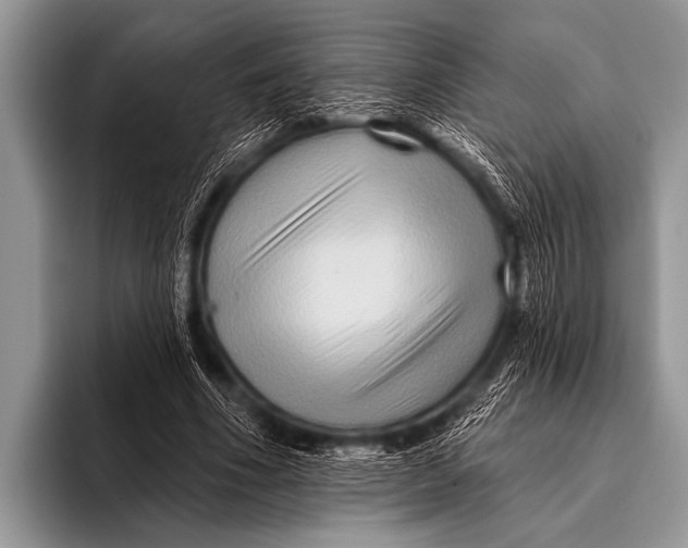 X0000096190586200802081522