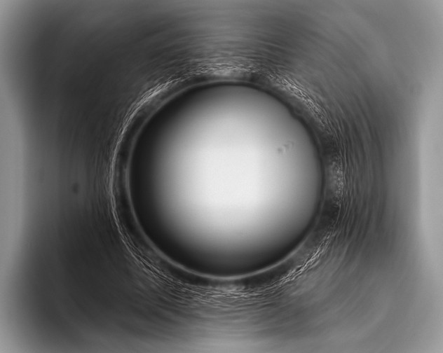 X0000096190587200802081522