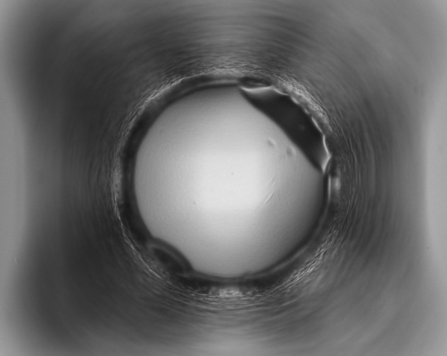 X0000096190588200802081522