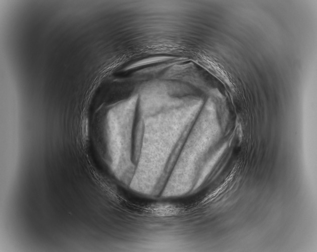 X0000096190589200802081522