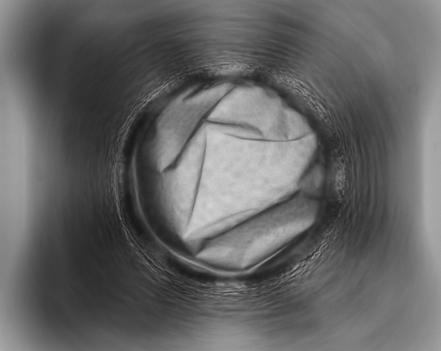 X0000096190591200802081521