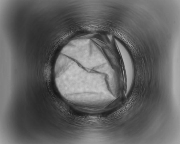 X0000096190592200802081521