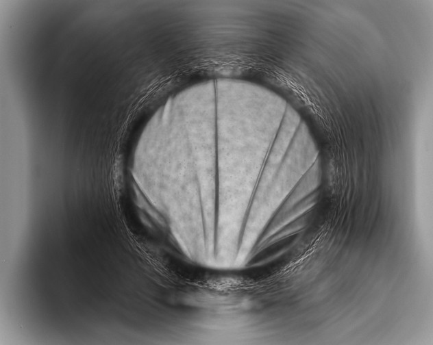 X0000096190594200802081521