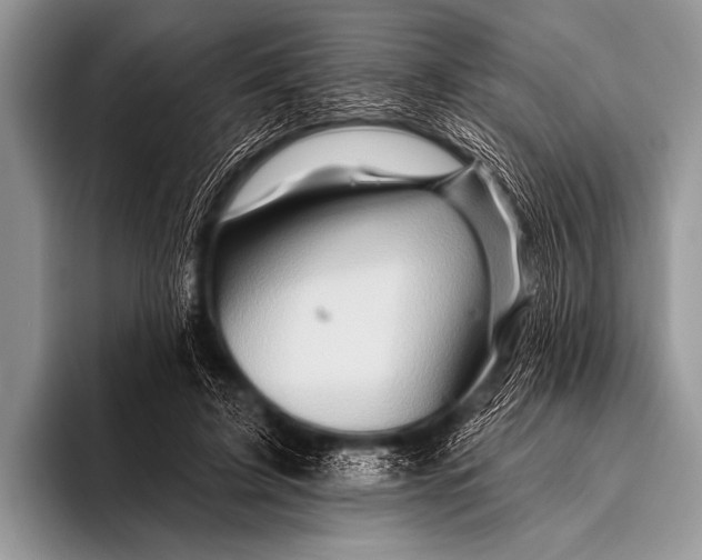 X0000096190595200802081521