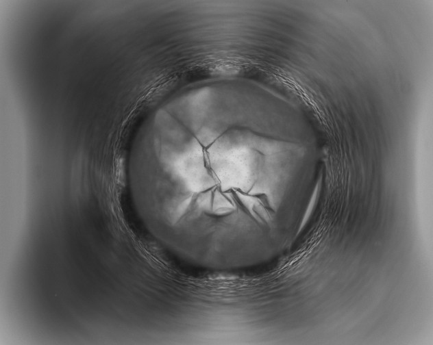 X0000096190598200802081521