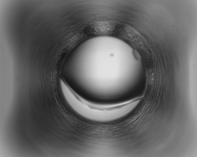 X0000096190599200802081521