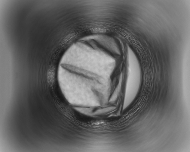 X0000096190600200802081521