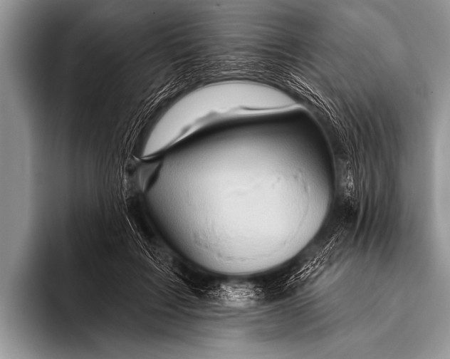 X0000096190603200802081521