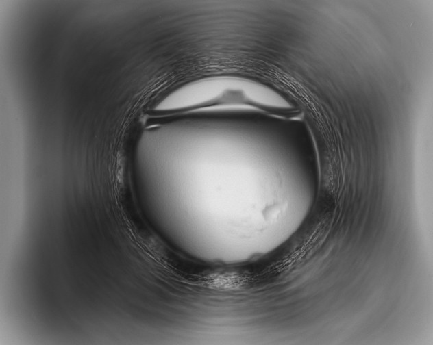 X0000096190604200802081521