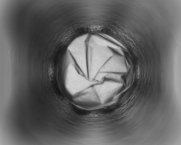 X0000096190608200802081521