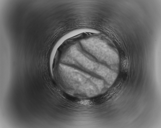 X0000096190609200802081521