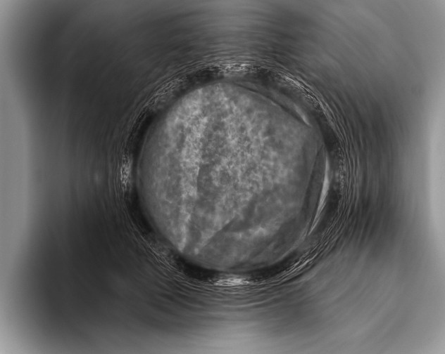 X0000096190610200802081521