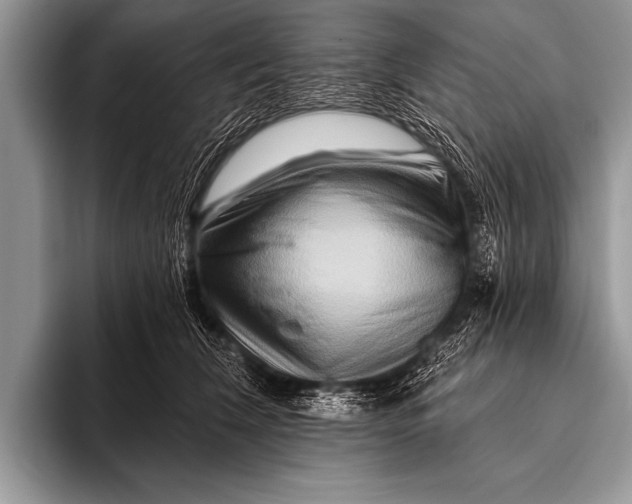 X0000096190612200802081521