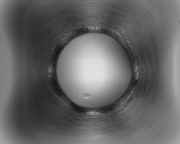 X0000096190614200802081521