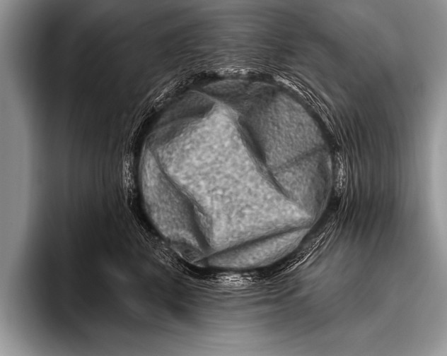 X0000096190616200802081521