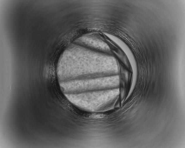 X0000096190617200802081521