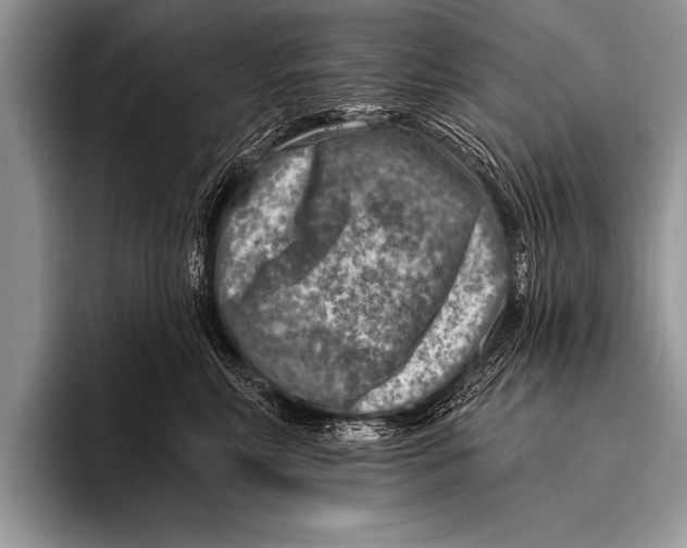 X0000096190618200802081521