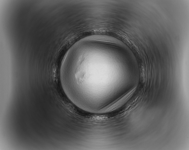 X0000096190619200802081521