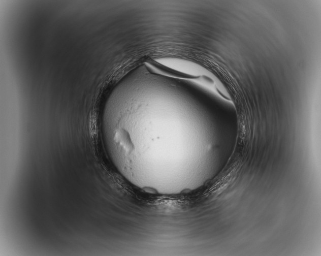 X0000096190620200802081521