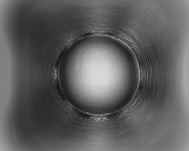 X0000096190621200802081521