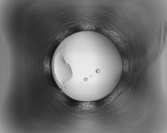 X0000096190622200802081521