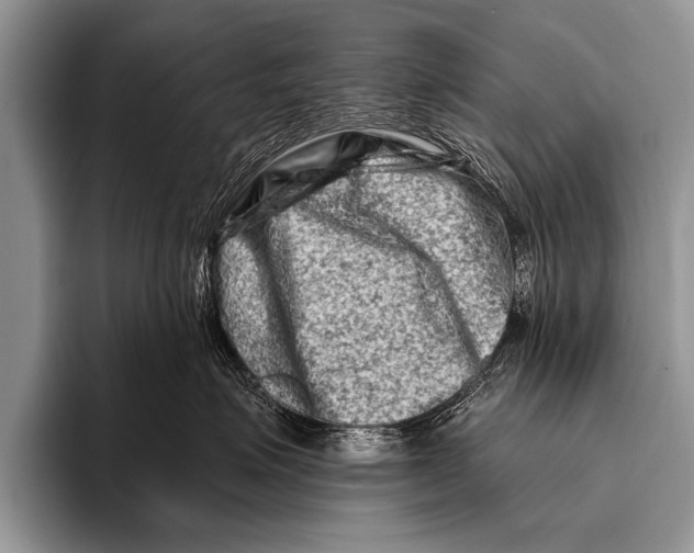 X0000096190623200802081521