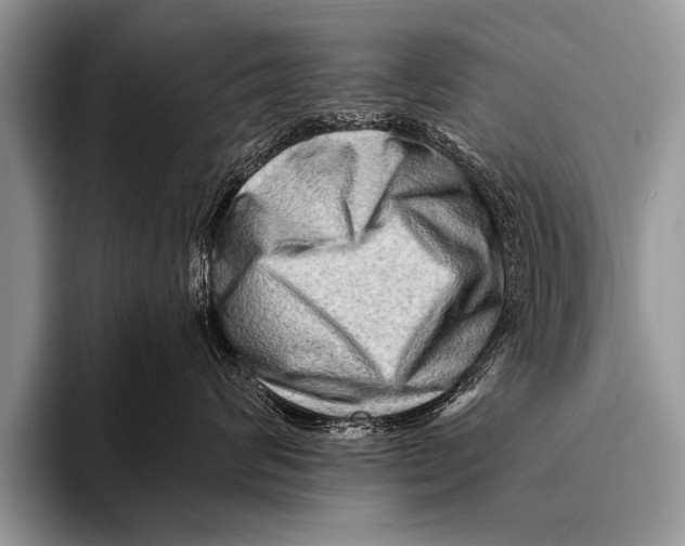 X0000096190624200802081521