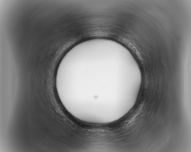 X0000096190625200802081520