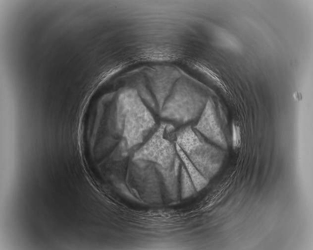 X0000096190627200802081520