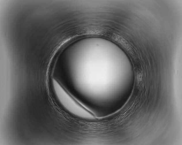 X0000096190628200802081520