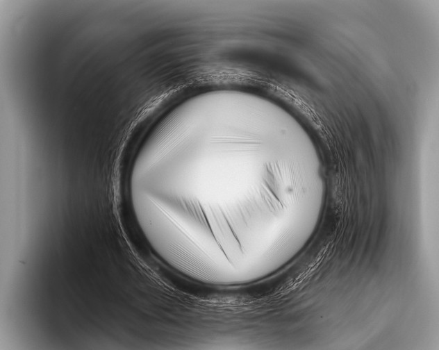 X0000096190629200802081520