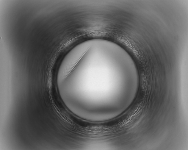 X0000096190631200802081521