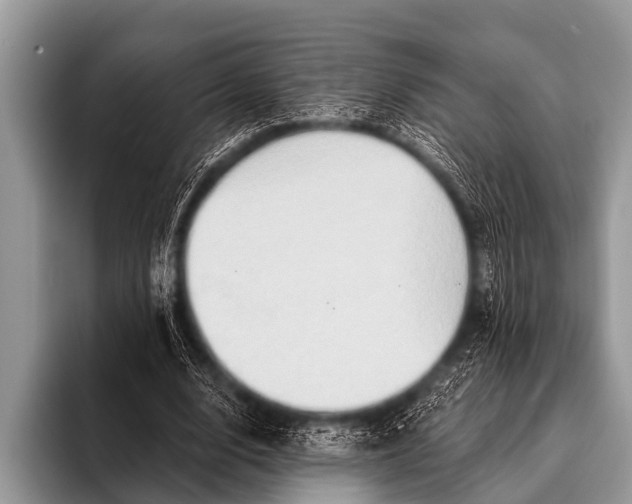 X0000096190632200802081521