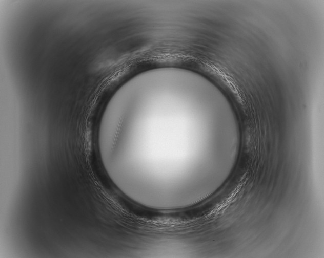 X0000096190633200802081521