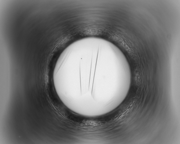 X0000096190635200802081521