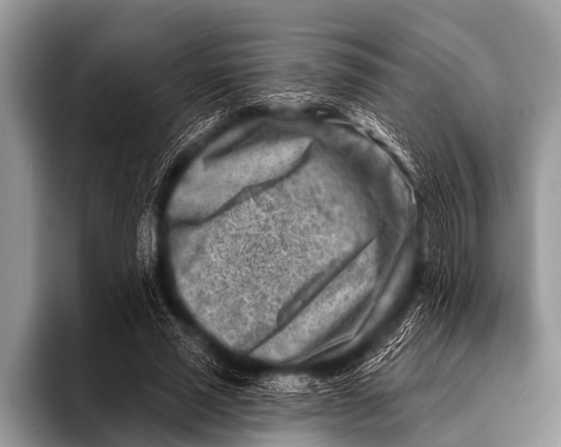 X0000096190637200802081521