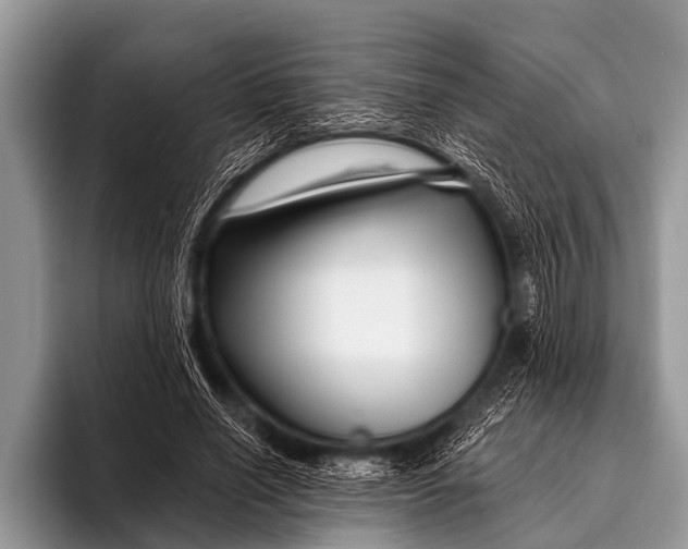 X0000096190638200802081521