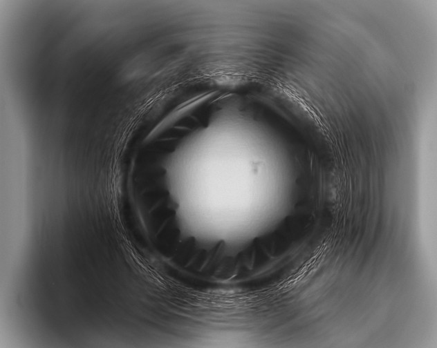 X0000096190639200802081521