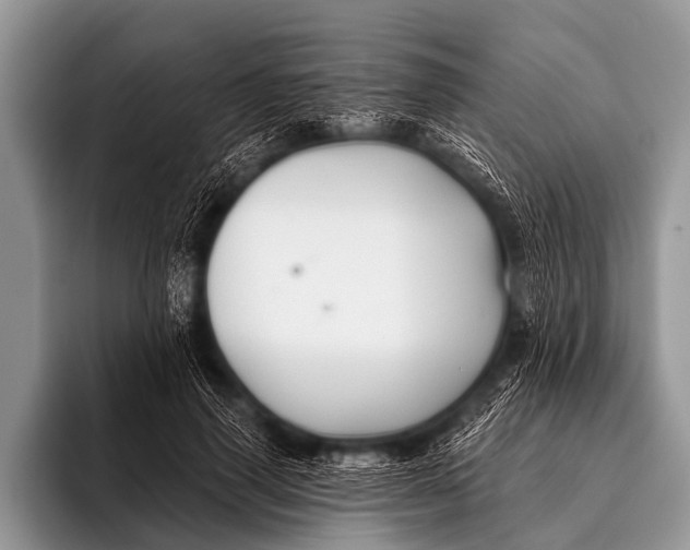 X0000096190645200802081521