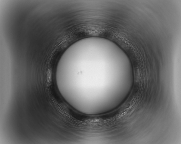 X0000096190646200802081521