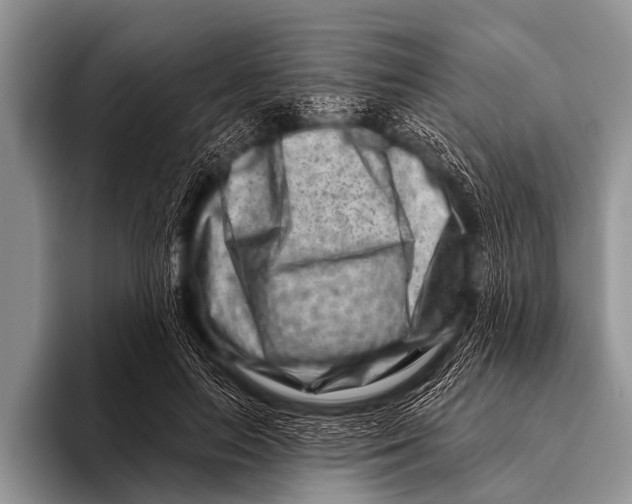 X0000096190647200802081521