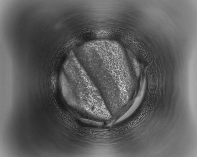 X0000096190648200802081521