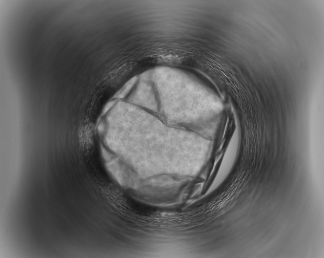 X0000096190649200802081521