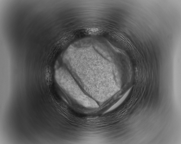 X0000096190653200802081521