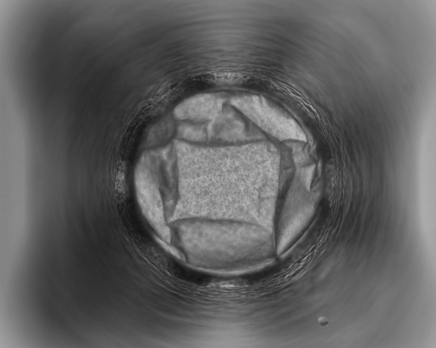 X0000096190655200802081521