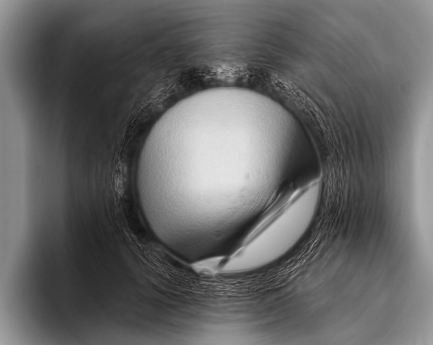 X0000096190656200802081521