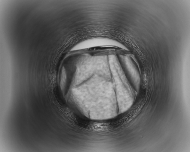 X0000096190657200802081521