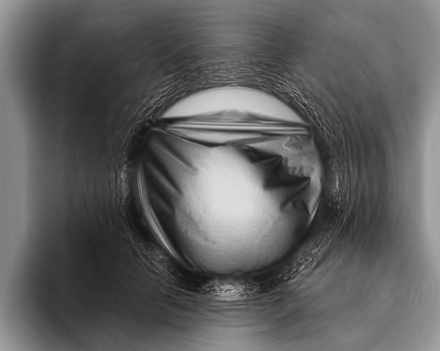 X0000096190658200802081521